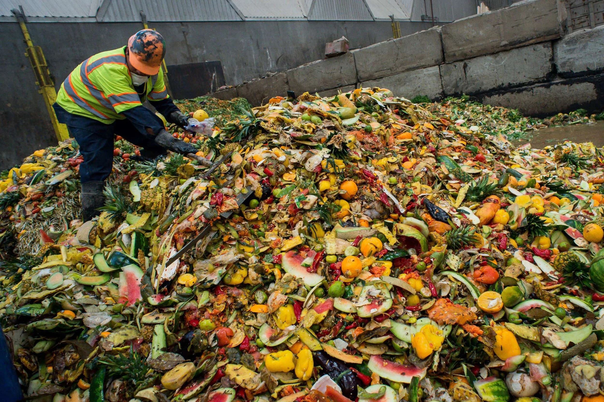 Mountains of food waste at a processing facility